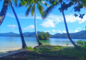 Rajaampat-Under and On the Sea