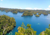 Exploring Day Rajaampat
