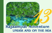 Rajaampat-Under and On the Sea