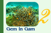 Gem in Gam