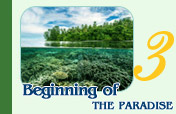 The end of the world, the beginning of the paradise