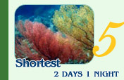 Shortest: 2 Days 1 Night 