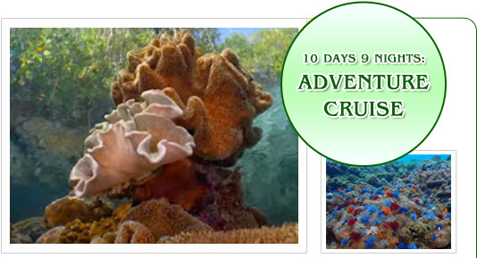 Adventure Cruise. 10 Days 9 Nights Adventure Cruise. 10 Days 9 Nights