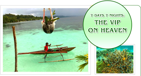 7 Days 7 Nights: The VIP on Heaven 7 Days 7 Nights: The VIP on Heaven