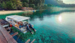 Raja Ampat Survey Raja Ampat Survey