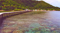 Raja Ampat Survey